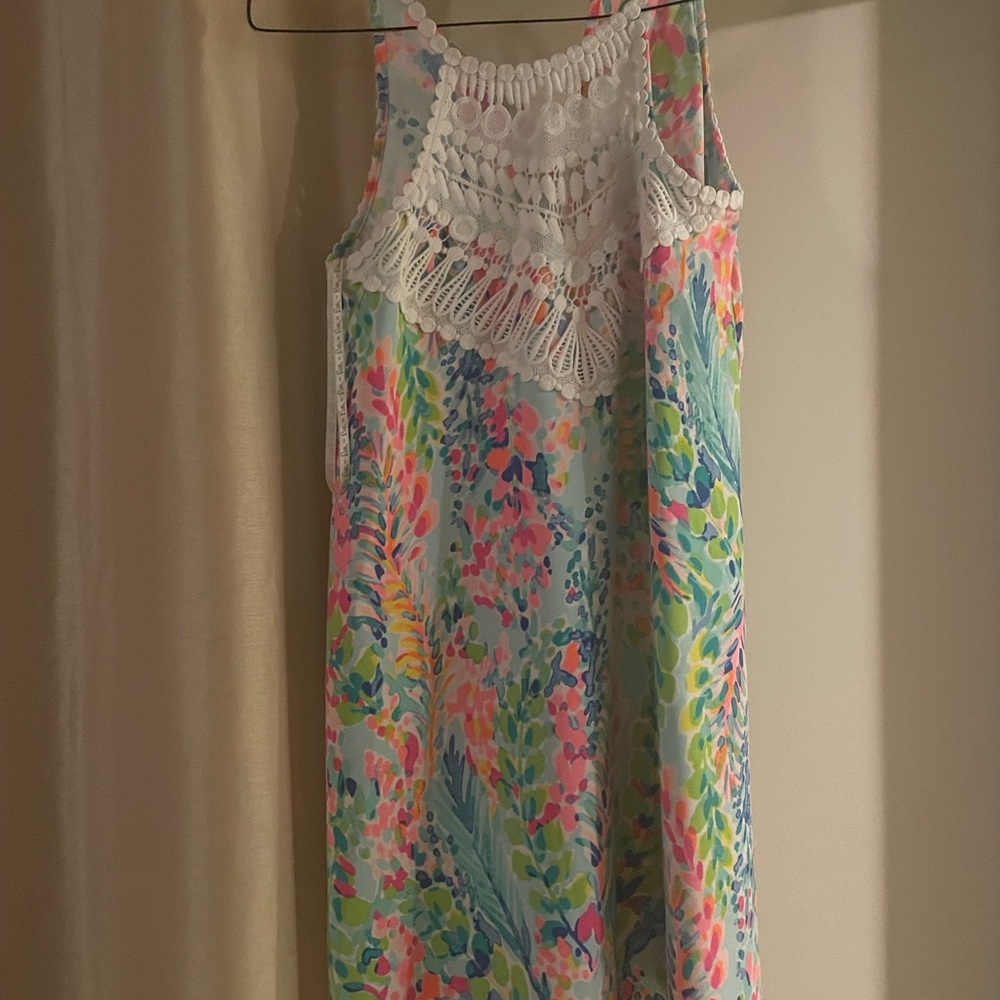 Lily dress worn 1x